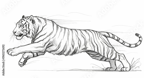 Dynamic Sketch of a Running Tiger with Striking Black Stripes