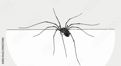 Silhouetted spider with long legs hangs from a thin line on a white background