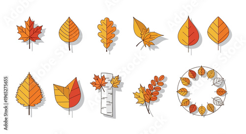 Collection of Autumn Leaves in Various Shapes and Colors.