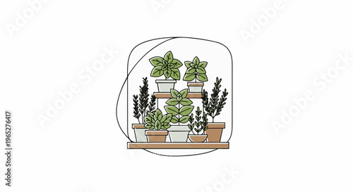 Potted plants arranged on shelves under a dome-like enclosure