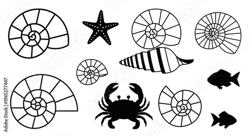 Black silhouettes of sea creatures and shells.