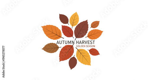 Autumn Harvest Golden Season Leaves Emblem.