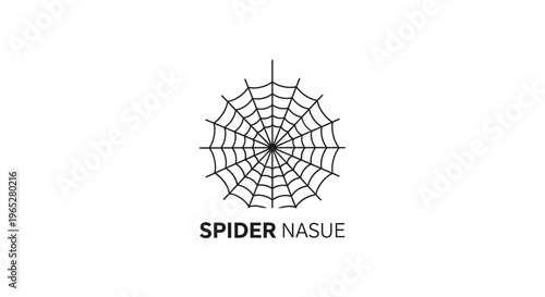 Intricate Spider Web Design with Text Below.