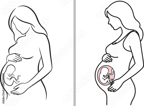 Flat vector line art of a pregnant woman showing a fetus in the womb, with one version highlighting the embryo in a pink circle to represent prenatal development and maternal health.