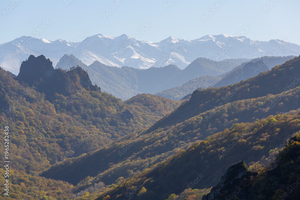 Fototapeta premium Panoramic view of a mountain gorge with forested slopes