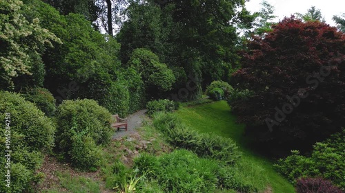 view of the garden full of plants