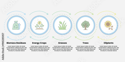 Eco-Friendly Infographic: A visually appealing infographic illustrates the journey of renewable resources, presenting the steps from biomass residues to oilplants
