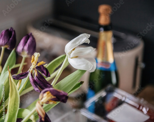 Still life scene of wilted tulips with champagne bottle in kitchen setting showing contrast between celebration and decay with soft focus background and natural light