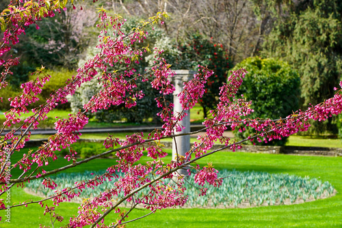 Photos Verbania am Lago Maggiore - Villa Taranto - Botanischer Garten - Piemont - Blühe