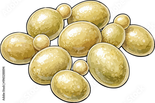 Saccharomyces cerevisiae illustration art