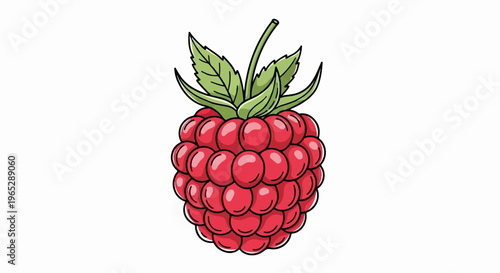 A bright red raspberry with green leaves, on a white background