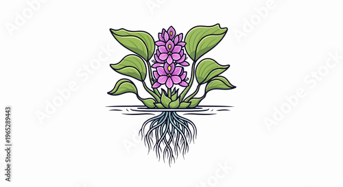 Floating purple flowers with green leaves and visible roots in water