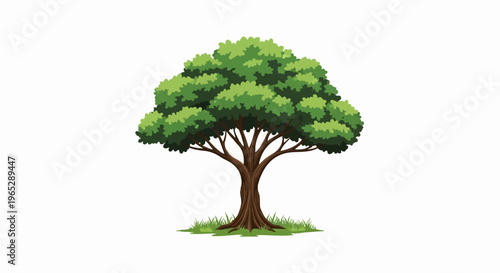 Large, green tree with a thick trunk, spreading branches, and lush foliage