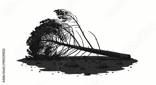 Silhouette of a fallen pine tree with its branches scattered on rocky ground