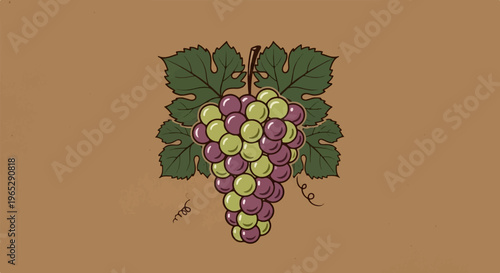 A cluster of purple and green grapes with vine leaves, against a brown background