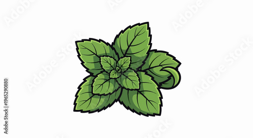 A cartoonish sprig of vibrant green mint leaves with black outlines