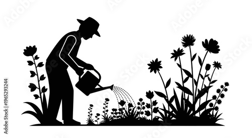 Man watering flowers in the garden.