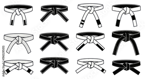 Martial Arts Belt Ranks Collection: White, Black, and Striped Budo Belts