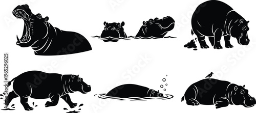 Hippopotamus silhouette illustration collection, semi-aquatic animals in diverse poses including open mouth, submerged, walking, lying with bird, wildlife nature theme, vector art