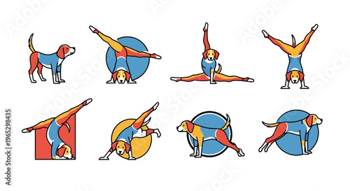 Collection of Dog Poses Demonstrating Yoga and Flexibility.