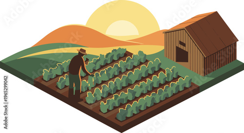 farmer working in vegetable farm at sunset, isometric agriculture illustration, rural landscape with barn, organic farming and cultivation concept