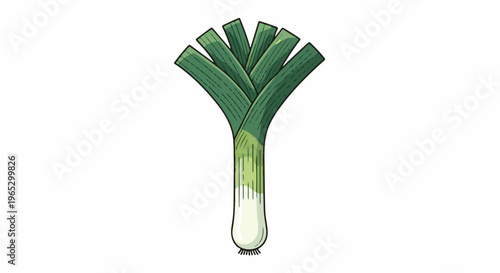 Stylized illustration of a single green leek on a white background