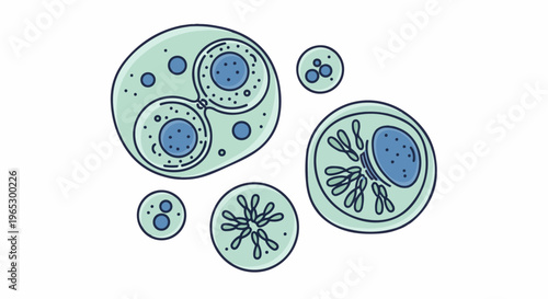 Stylized illustration of microscopic organisms with internal structures
