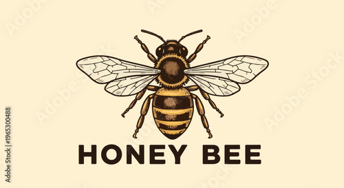 Stylized illustration of a honey bee with detailed wings and body, text below
