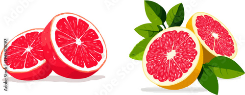 A high-quality, detailed illustration of a fresh grapefruit cut in half, showcasing vibrant pink segments and white pith against a clean, bold outline on a white background