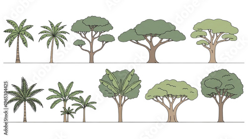 Vector illustrations of various trees in CAD design style with palm trees and other green foliage