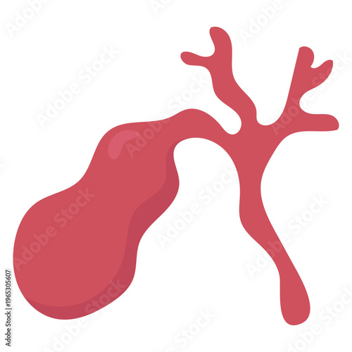 Gallbladder and Bile Duct Icon