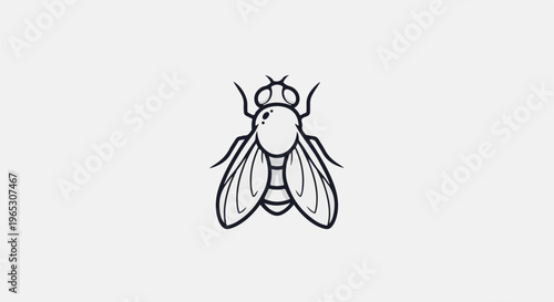 Stylized line drawing of a fly against a light grey background