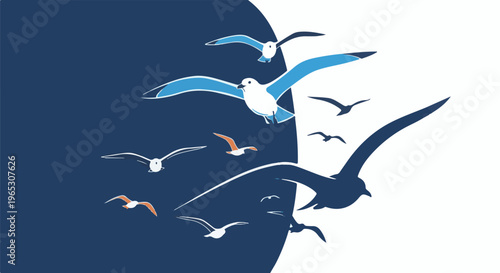 Stylized flock of birds in flight against a split blue and white background