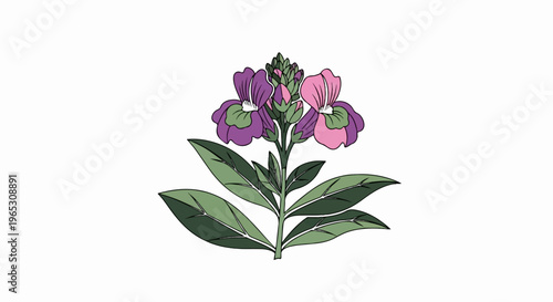 A stylized illustration of a flowering plant with purple and pink blooms