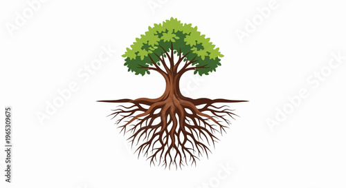 A stylized tree with a large green leafy canopy and extensive brown roots