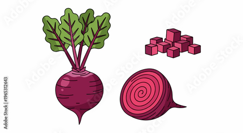 Vibrant root vegetable depicted whole, sliced, and cubed