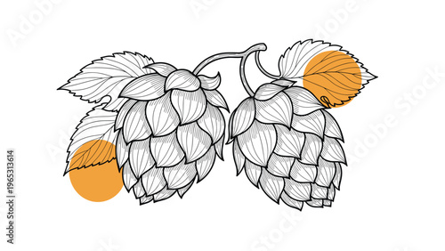 Botanical line art illustration of hop cones with leaves and decorative orange circles for modern agricultural or beverage design.