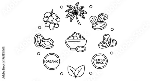 Modern date fruit and dried food outline icons collection with palm and organic symbols