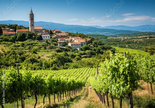 Scenic Vineyard Rows Leading to a Historic Hilltop Village with Church Tower in Summer