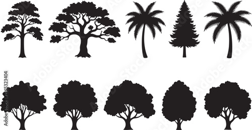 Collection of tree silhouettes including palm, Pine, And deciduous trees in black outline