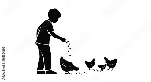 Boy feeding chickens with grain a striking black silhouette