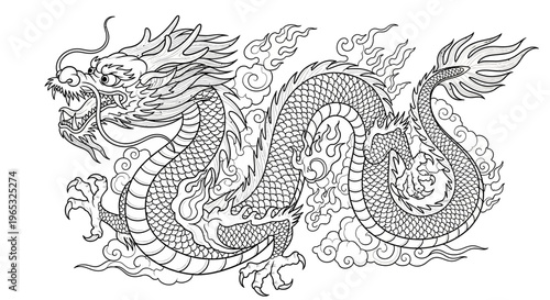 Intricate Chinese Dragon Line Art Illustration.