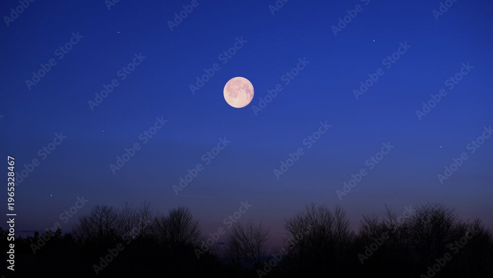 Fototapeta premium Full Moon, stars and planets above landscape silhouettes.