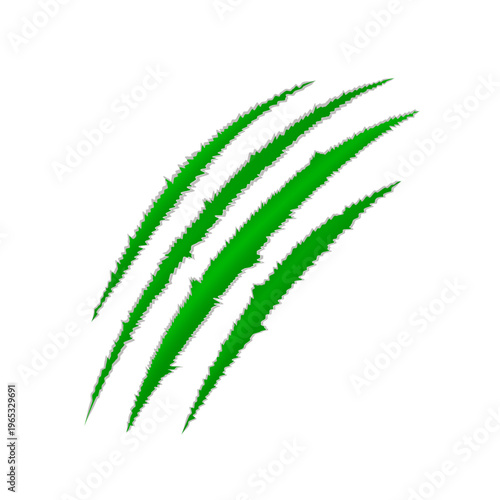 Green claw scratch mark with torn edges. Wild animal slash trace showing sharp nail damage. Design element for horror, fantasy, mystery, Halloween. Realistic vector illustration.