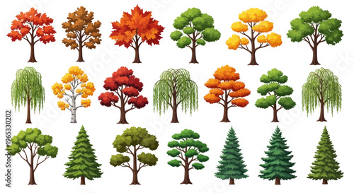 Diverse Collection of Autumn and Summer Trees Isolated on White Background