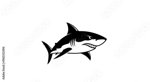 Graphic Illustration of a Fierce Shark with Sharp Teeth - Black and White