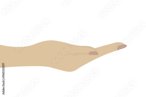 Person extending hand, palm up. Hispanic. Requesting hand gesture. Color vector illustration. Isolated on white background. Give. Open palm. Flat style. Web design idea.