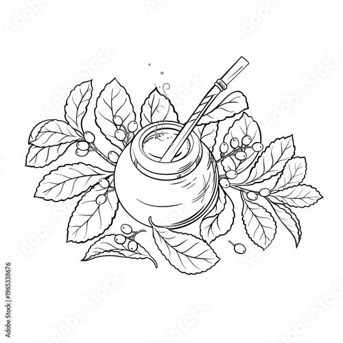 Mate Tea in Calabash and Yerba Mate Branch Outline Illustration. Vector isolated for Design and Decoration for Cafeteria, Posters, Banners, Cards.