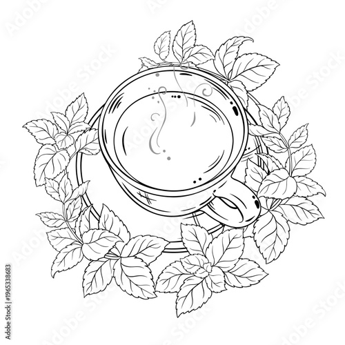 Melissa Tea in Teapot aroma beverage Outline Illustration. Vector isolated for Design and Decoration for Cafeteria, Posters, Banners, Cards.