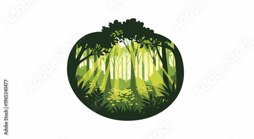 Sunlight beams through a dense, vibrant green forest canopy